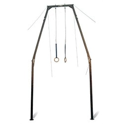 STAG Roman Ring Apparatus Competition